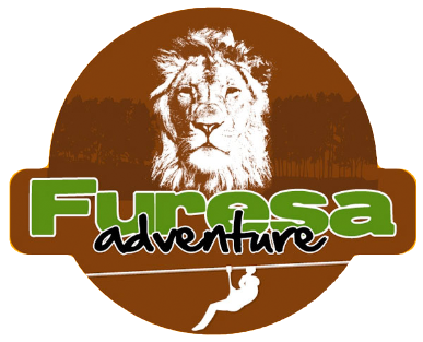 furesa.com.sv